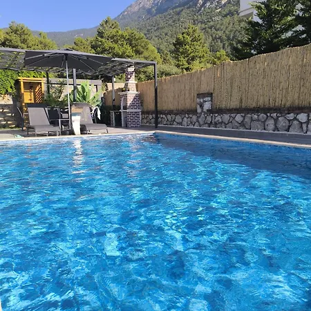 Vip Kleopatra ヴィラ