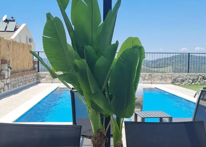 Villa Vip Kleopatra *